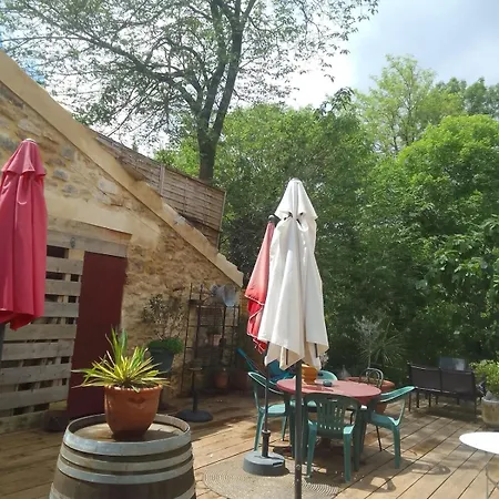 Atypical House Garden *